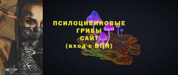 ГАЛЛЮЦИНОГЕННЫЕ ГРИБЫ Белоозёрский