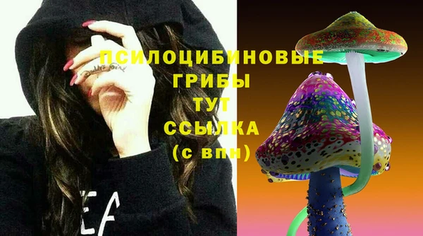 ГАЛЛЮЦИНОГЕННЫЕ ГРИБЫ Белоозёрский