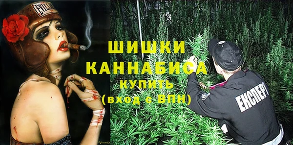 ГАЛЛЮЦИНОГЕННЫЕ ГРИБЫ Белоозёрский
