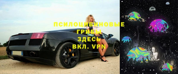 ГАЛЛЮЦИНОГЕННЫЕ ГРИБЫ Белоозёрский