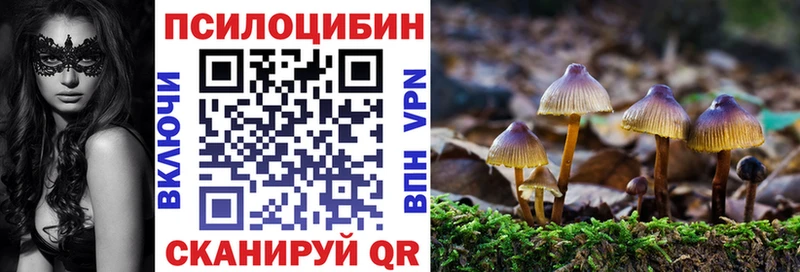 Галлюциногенные грибы GOLDEN TEACHER  сайты даркнета телеграм  Пыть-Ях 